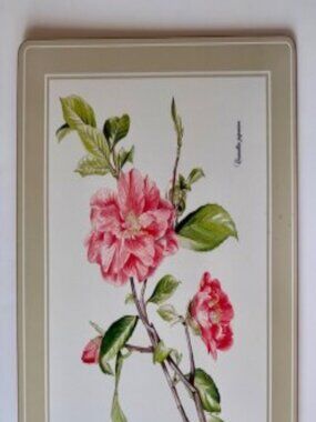 Lenox Set of 4 Cork-Backed Placements in Box